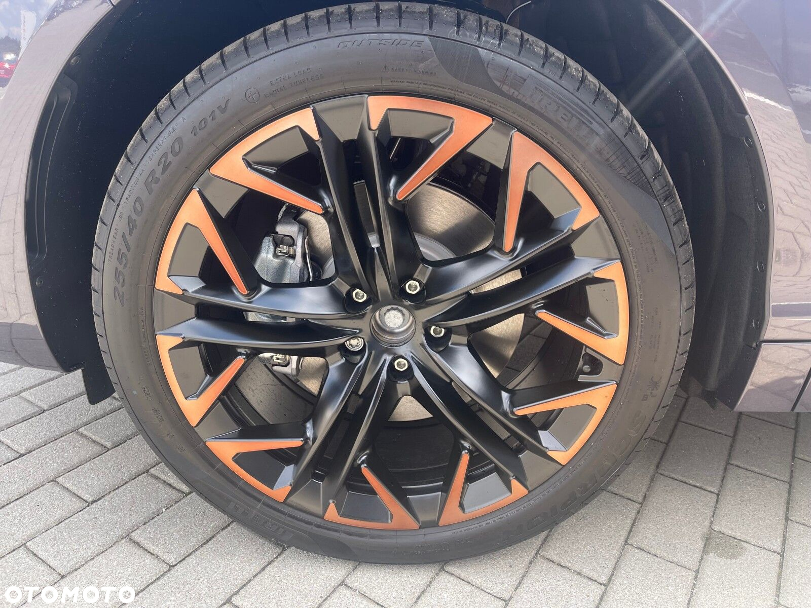 Cupra Terramar - 11