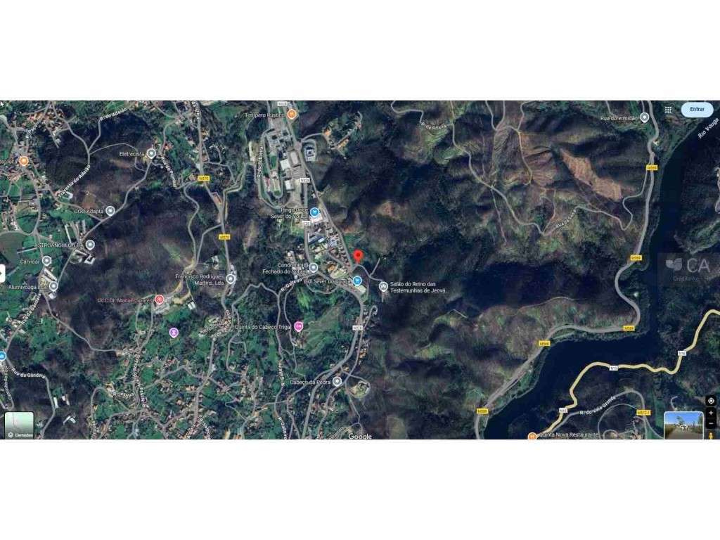 Terreno (1/3) a pinhal e eucliptal - Grande imagem: 2/2