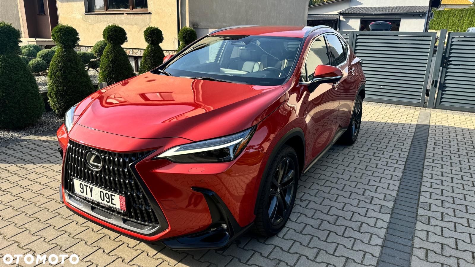 Lexus NX - 1