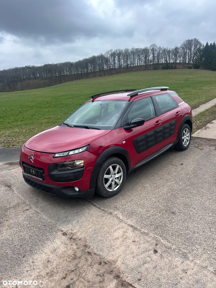 Citroën C4 Cactus PureTech 82 Business Class - 1