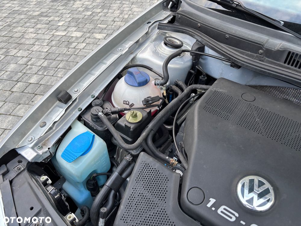 Volkswagen Golf 1.6 Trendline - 31