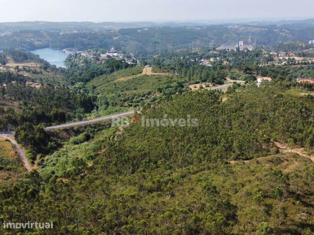 Terreno com 38360m² junto à Barragem de Castelo de Bode - Tomar - Grande imagem: 5/30