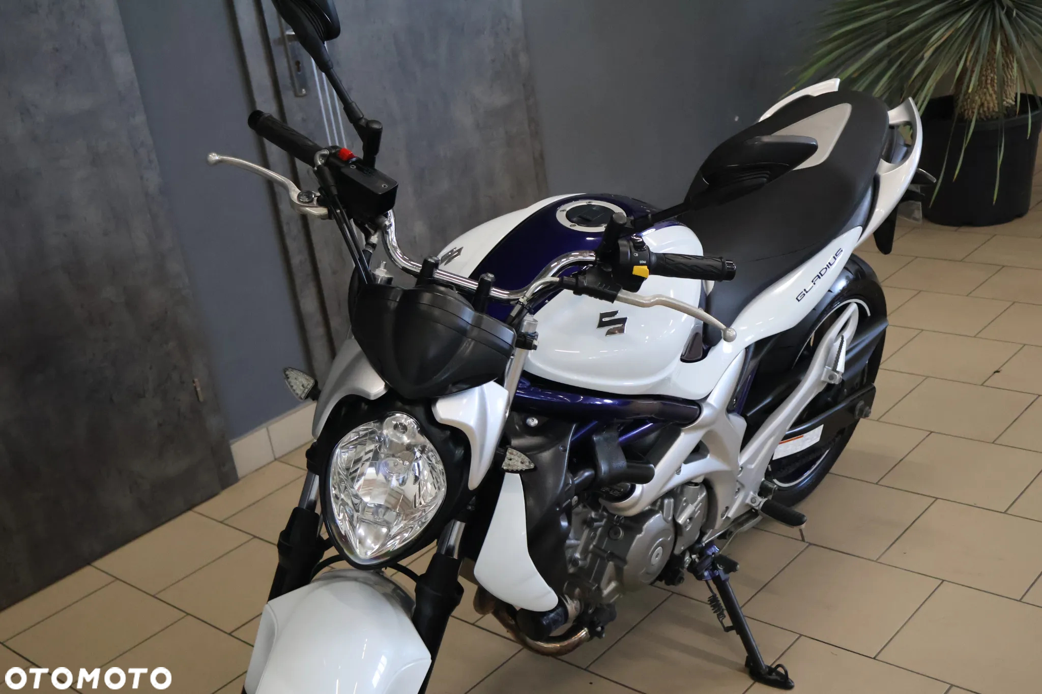 Suzuki Gladius - 17