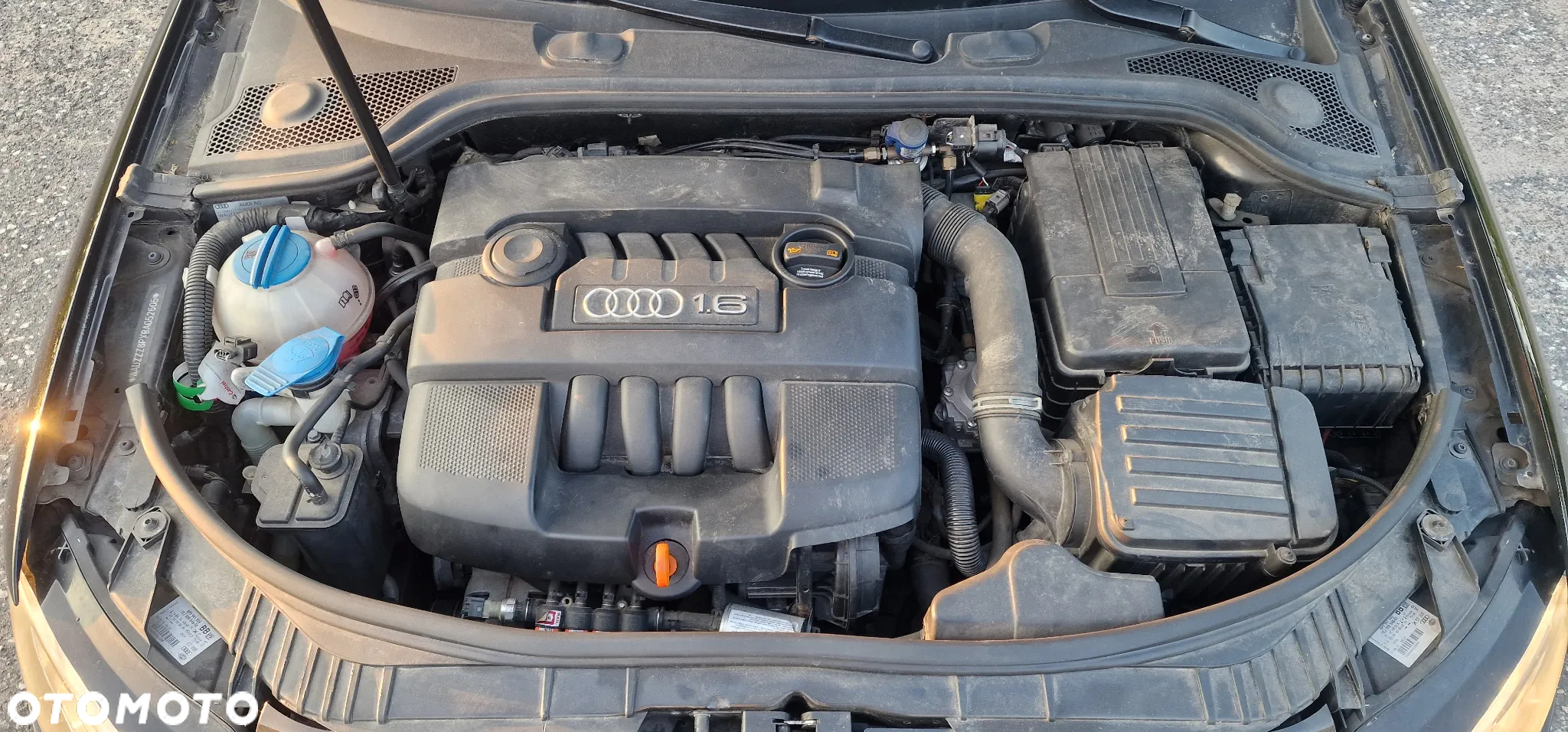 Audi A3 1.6 Limited Edition - 28