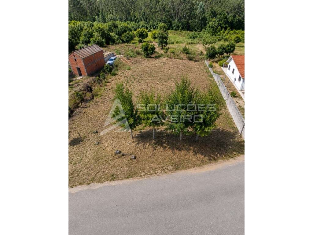 TERRENO em ESPINHEL 1980m2 URBANIZÁVEL - Grande imagem: 3/6
