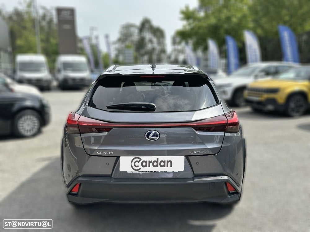 Lexus UX 300e Luxury - 7