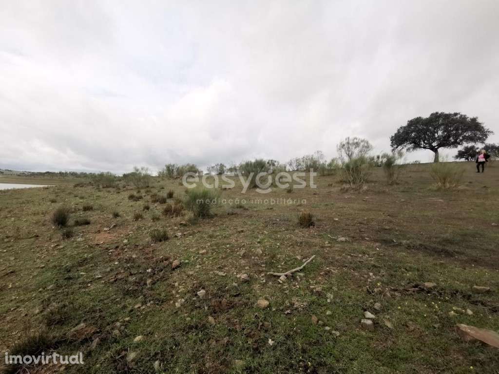 Terreno com 8ha nas margens do Alqueva - Chaminé - Reg. de Monsaraz - Grande imagem: 4/12