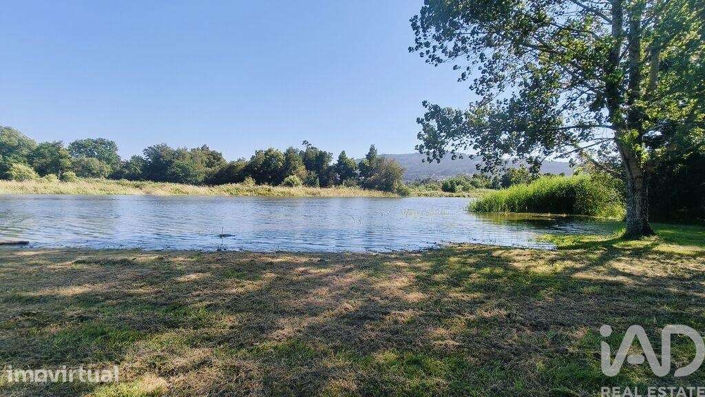 Terreno Agrícola em Vilar de Mouros - Grande imagem: 2/9