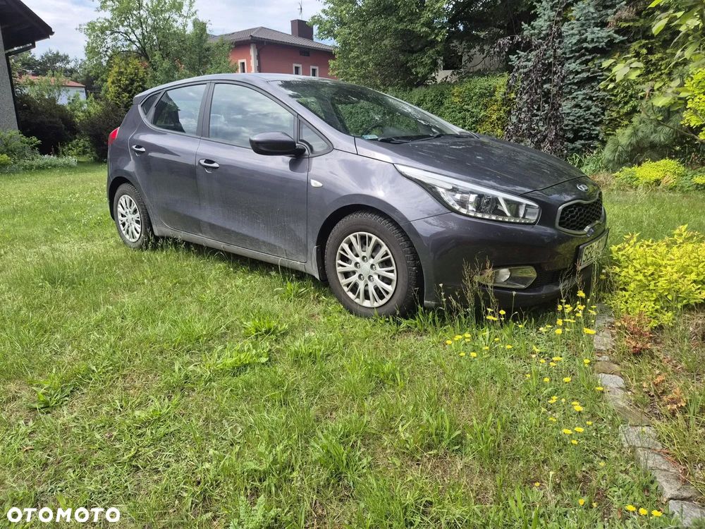 Kia Ceed - 1