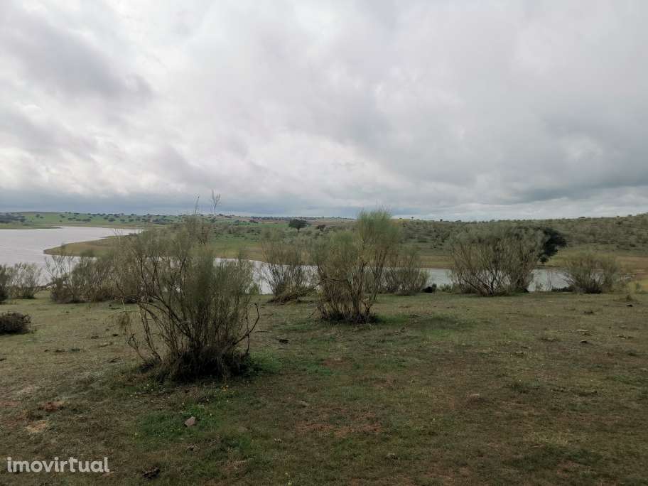 80.000 m² de Oportunidade Única no Alentejo: Versatilidade e Beleza ju - Grande imagem: 2/8