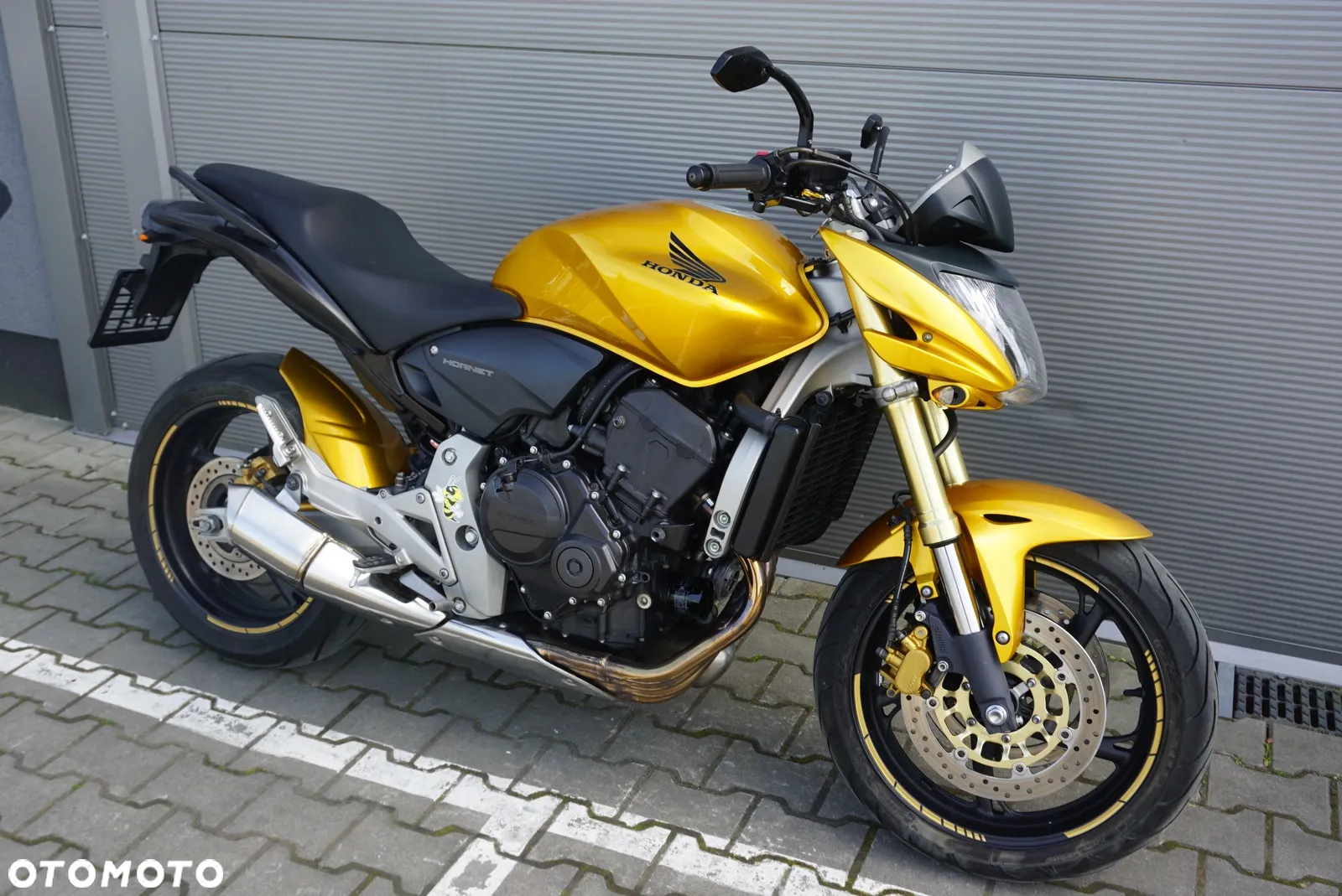 Honda Hornet - 23
