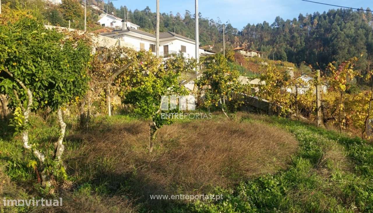 Venda Terreno, junto à estrada, Penha Longa, Marco de Canaveses - Grande imagem: 3/17