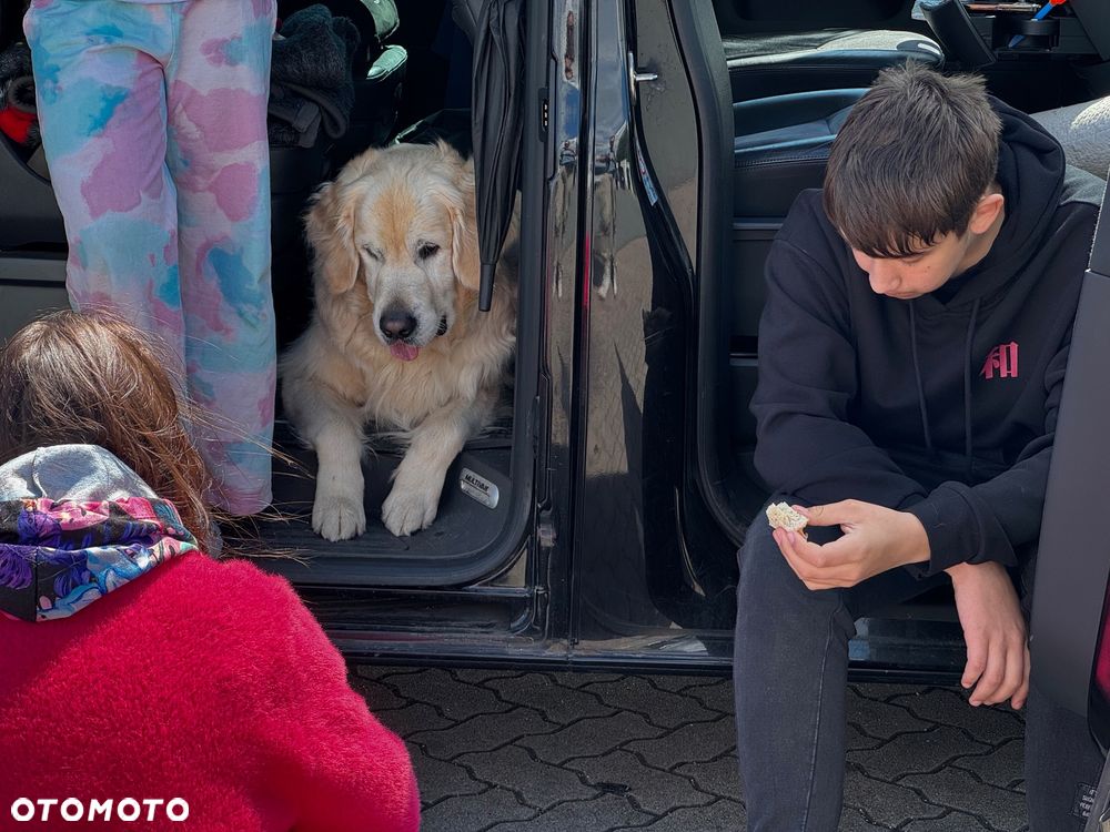 Volkswagen Multivan - 18