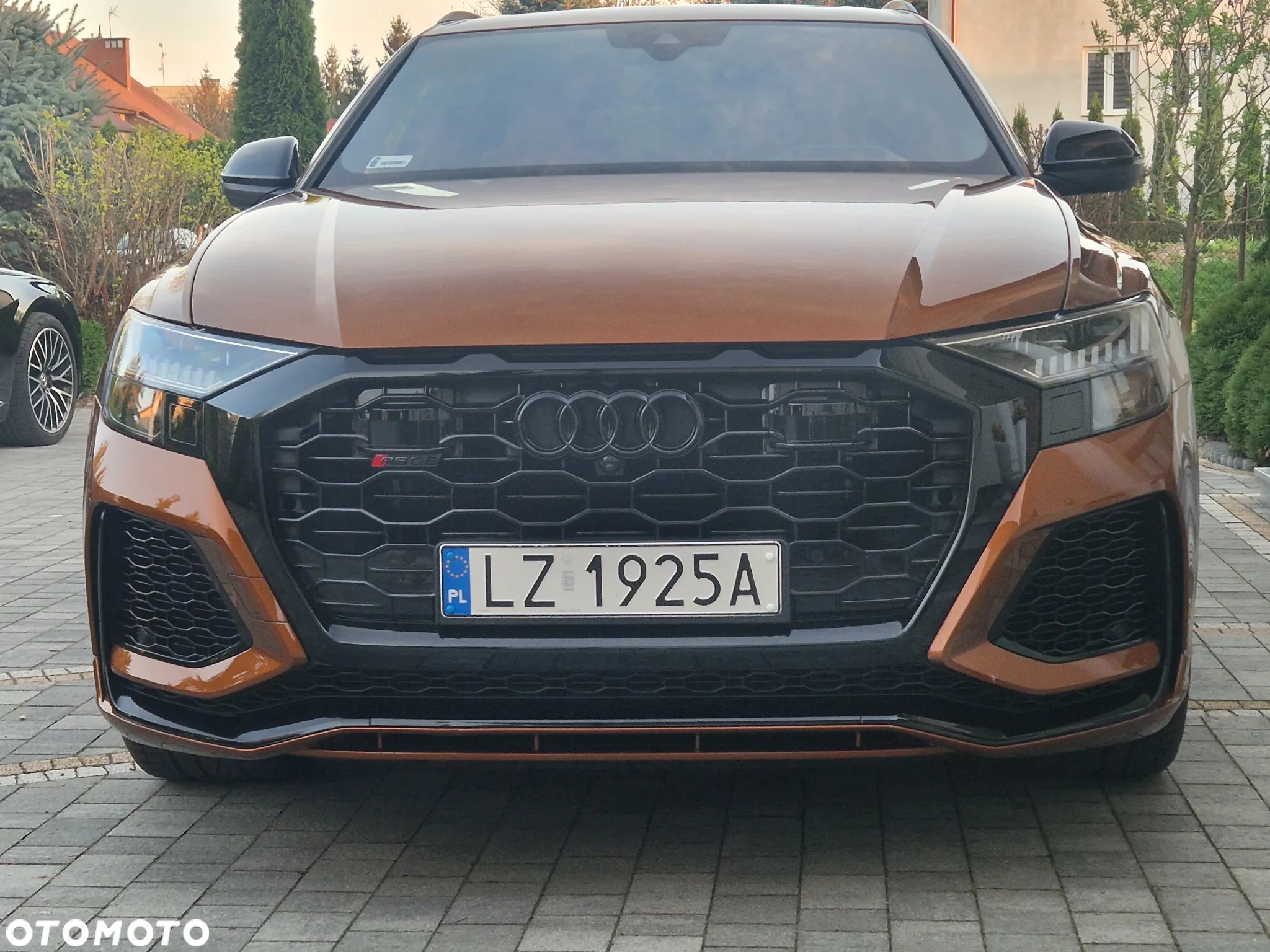 Audi RS Q8 - 32