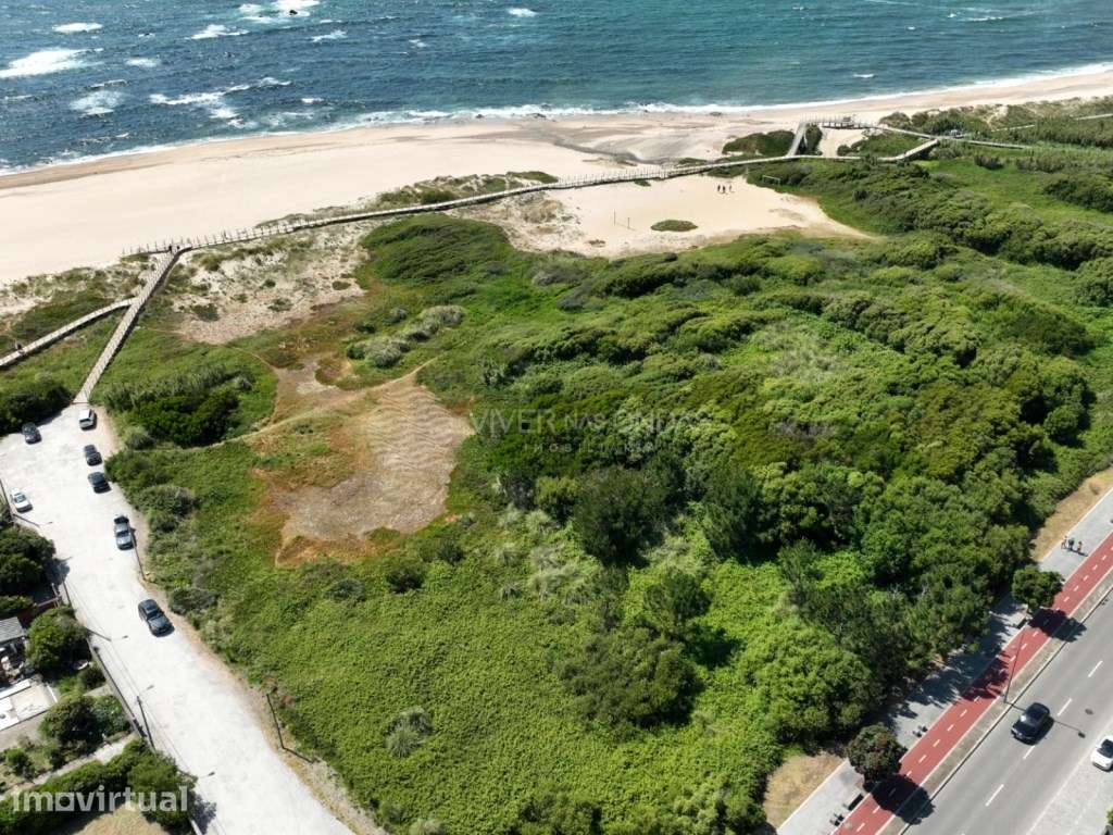 Terreno com 8.250m2 e vista mar, na Madalena. - Grande imagem: 3/15