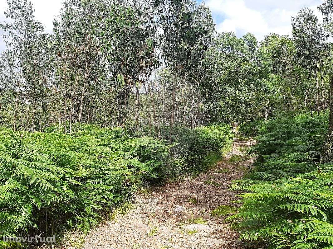 Terreno  para venda - Grande imagem: 4/9