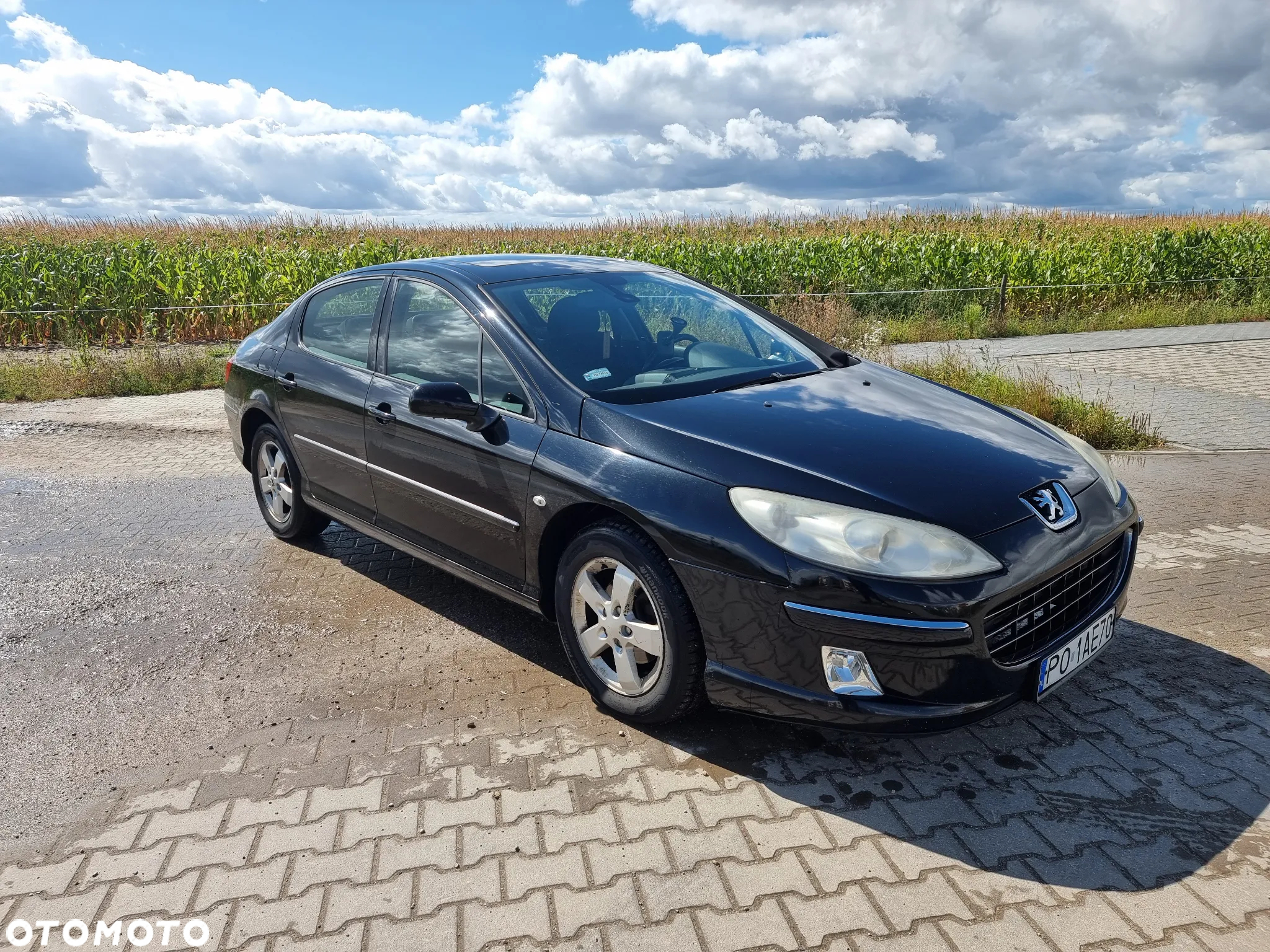 Peugeot 407 2.0 HDI Premium - 2