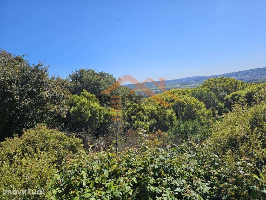 Situado em Pintéus/Loures - Terreno rústico com 320 m2 - Excelente ... - Grande imagem: 4/21