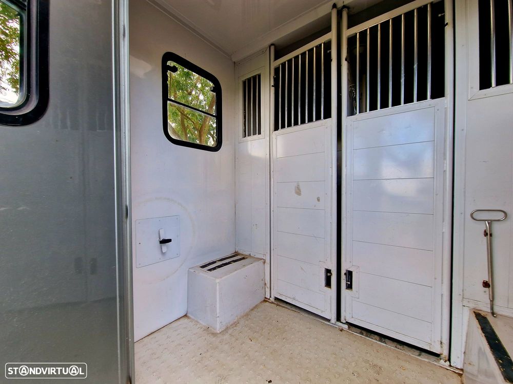 Renault MASTER - TRANSPORTE CAVALOS - 13