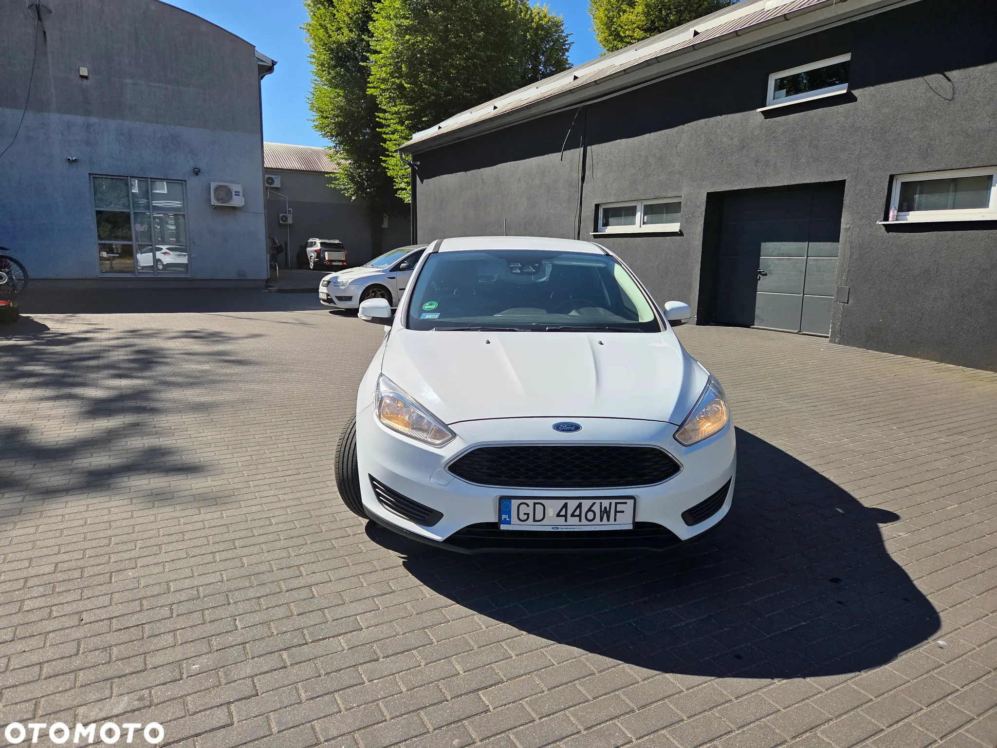 Ford Focus 1.5 EcoBoost Platinium X ASS - 7