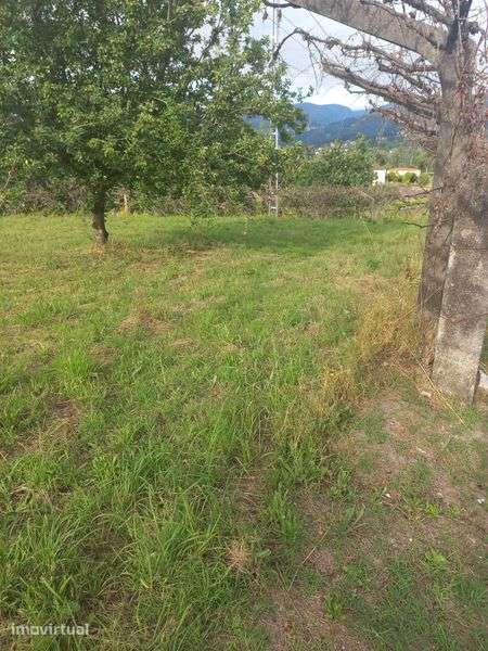Terreno para construir em Arcos de Valdevez - Grande imagem: 3/4
