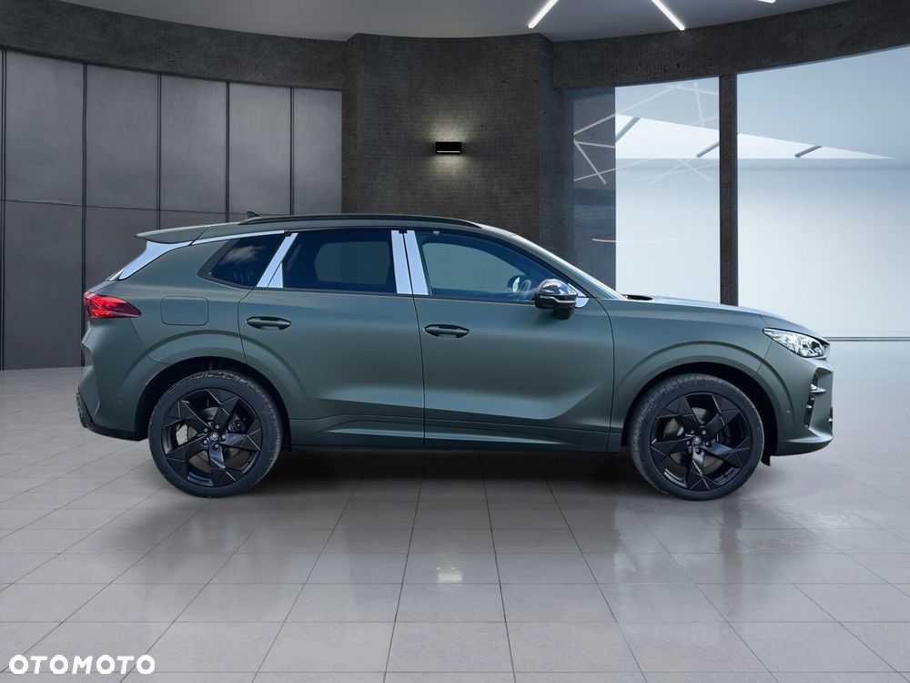 Cupra Terramar 2.0 TSI 4Drive VZ Tribe Edition DSG - 10