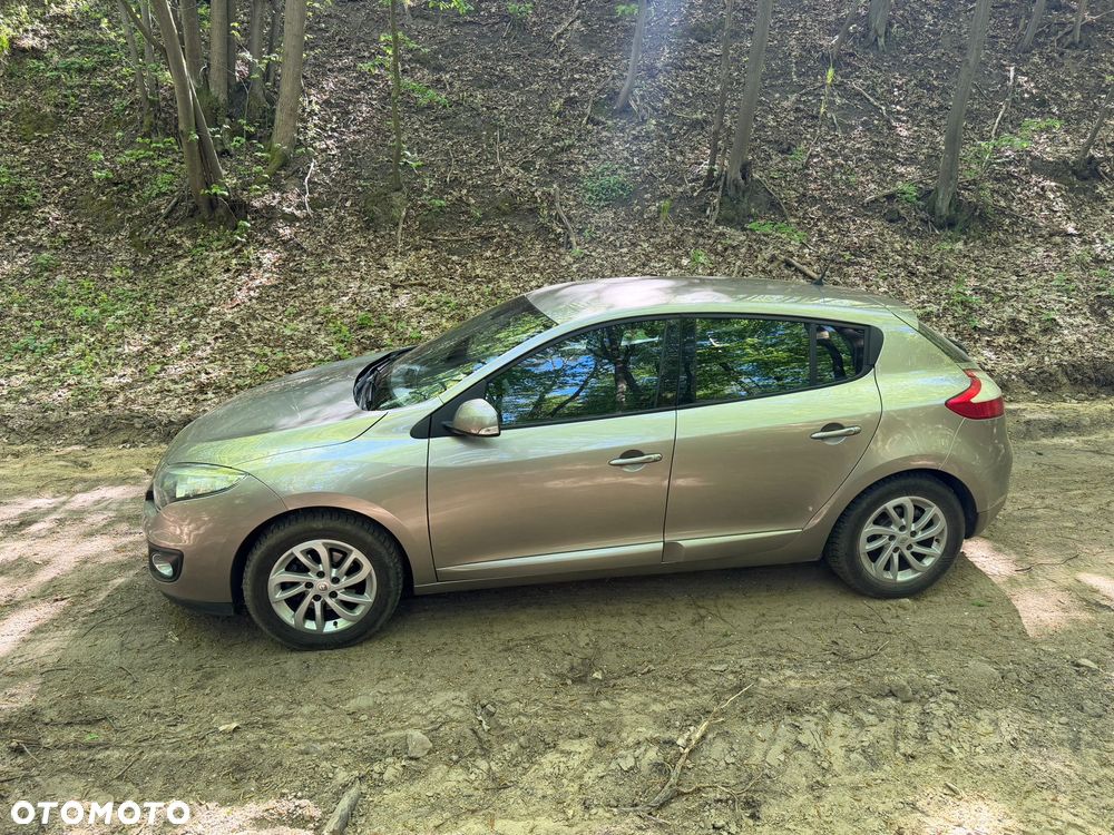 Renault Megane - 13