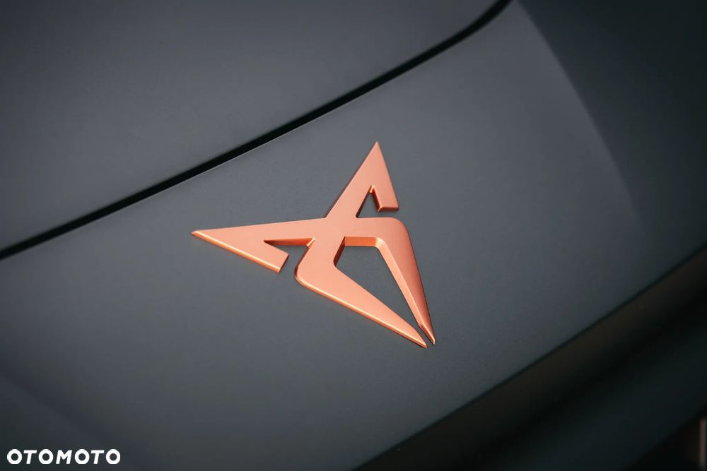 Cupra Terramar 2.0 TSI 4Drive VZ DSG - 3