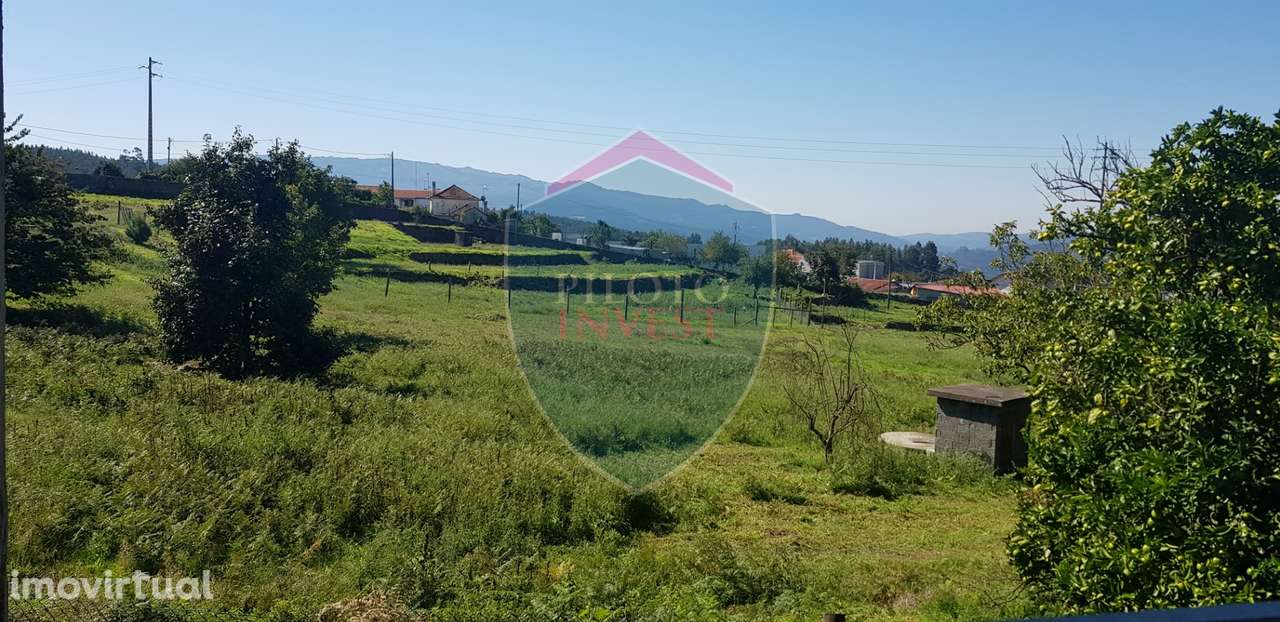 Quinta  Venda em São João da Serra,Oliveira de Frades - Grande imagem: 3/45