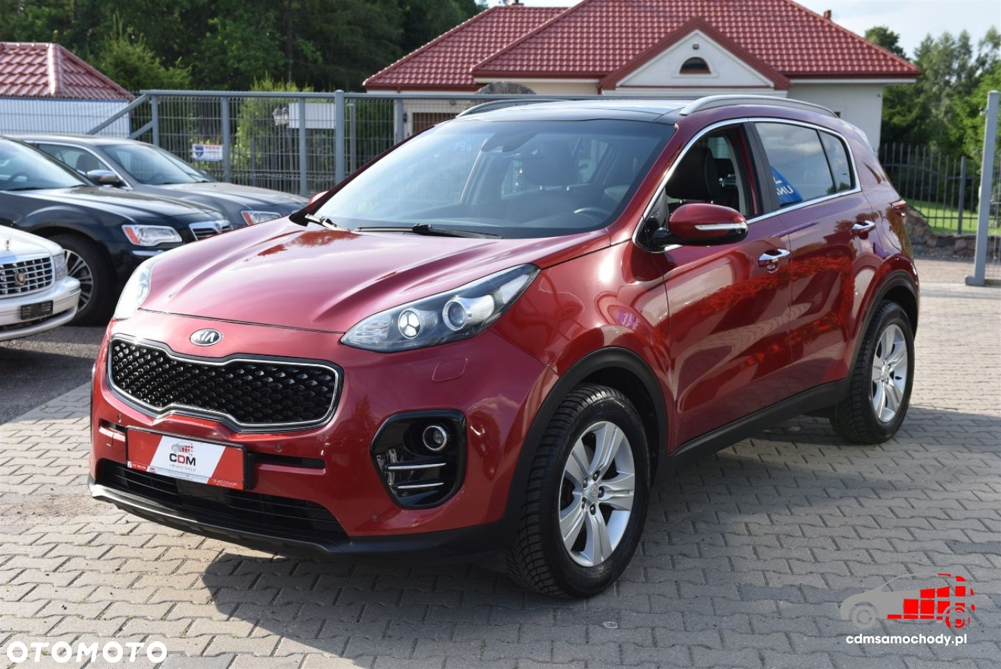 Kia Sportage - 6