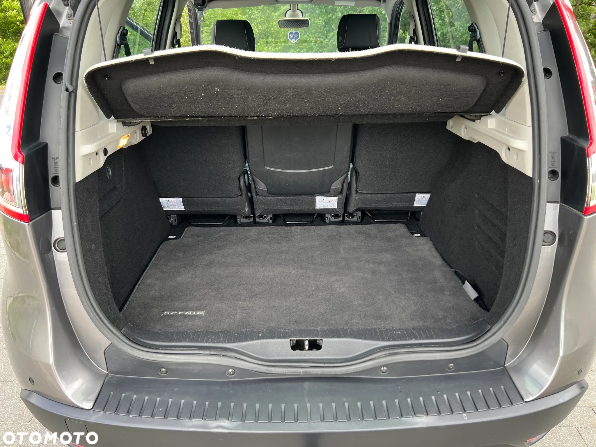 Renault Scenic - 15