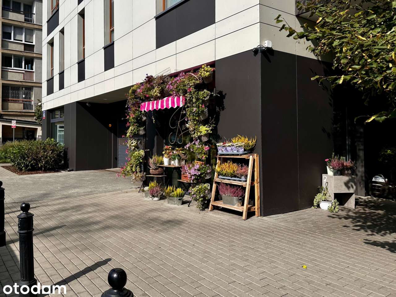 Dwupokojowe mieszkanie | Klimatyzacja| Recepcja| Ochrona | Muranów