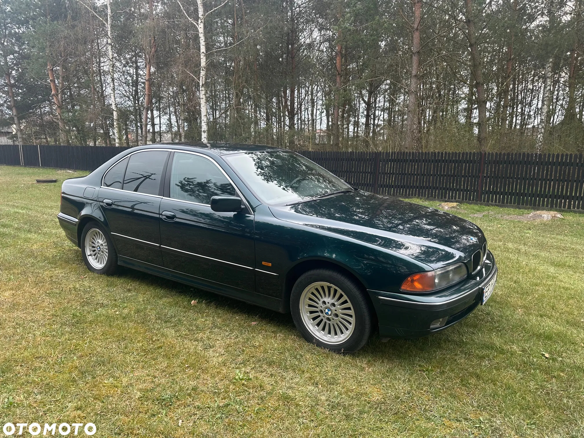 BMW Seria 5 - 16