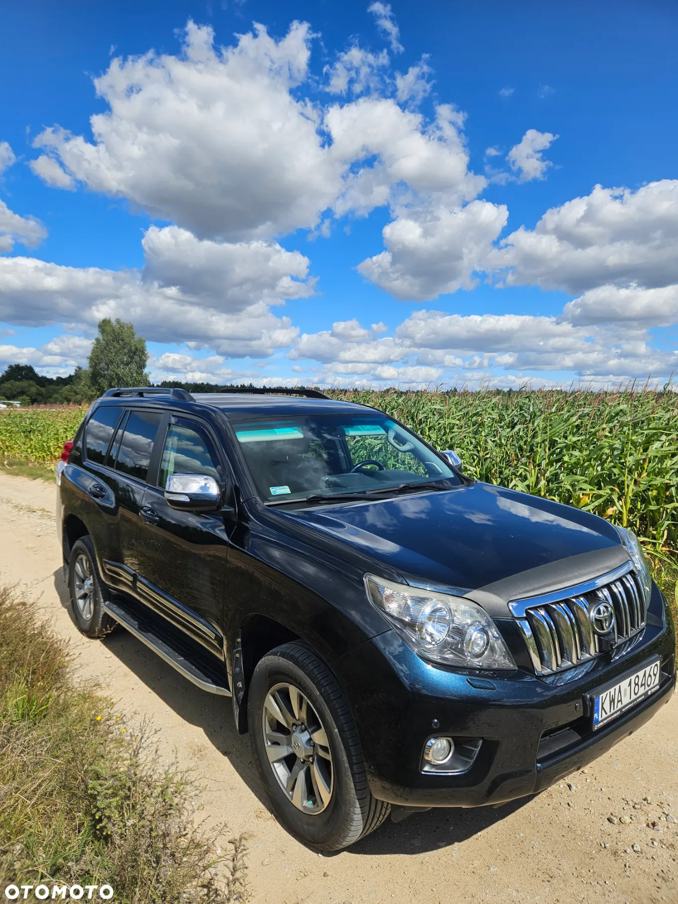 Toyota Land Cruiser LC 3.0 D-4D Premium - 2