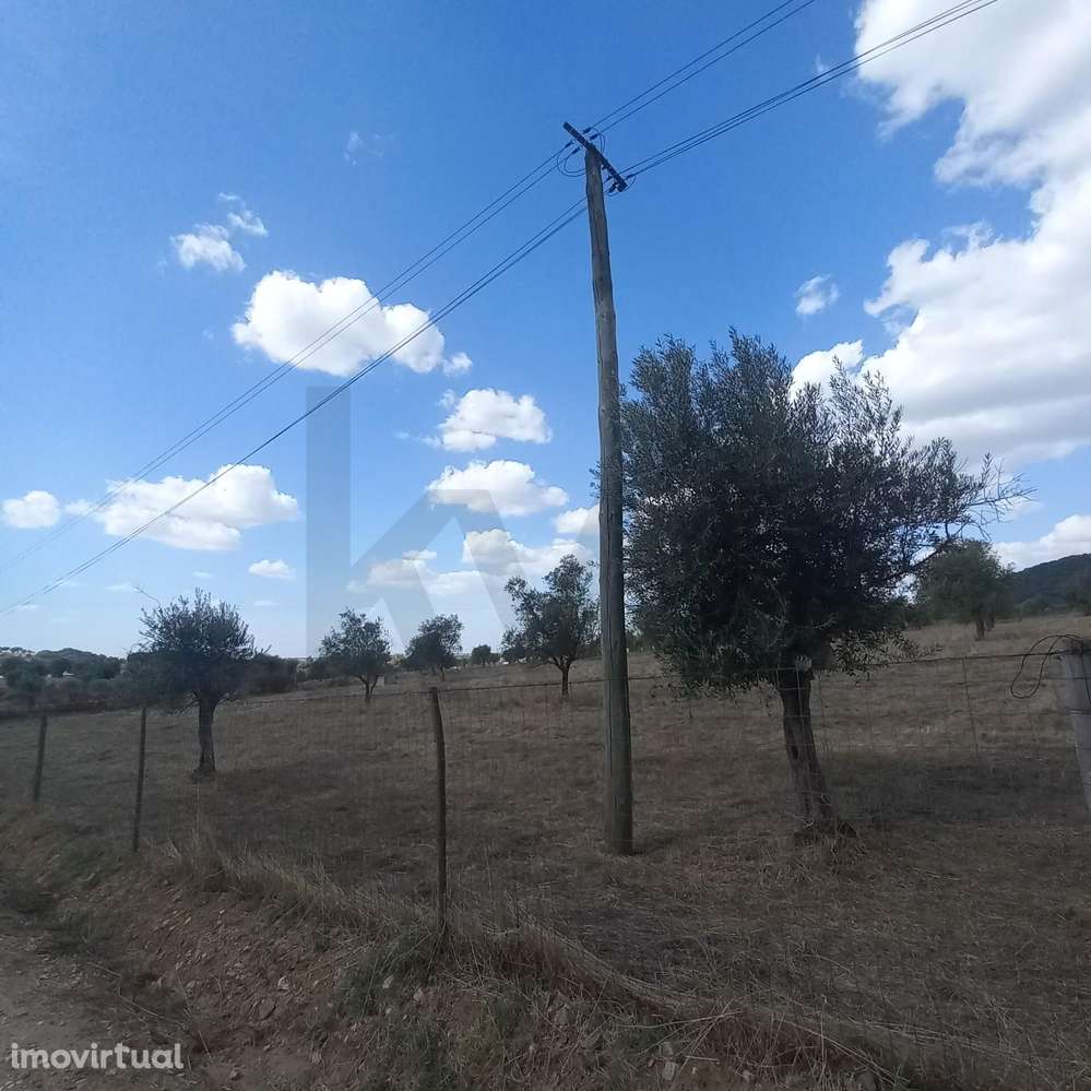 Terreno com potencial de construção em Santiago do Escoural - Grande imagem: 5/51