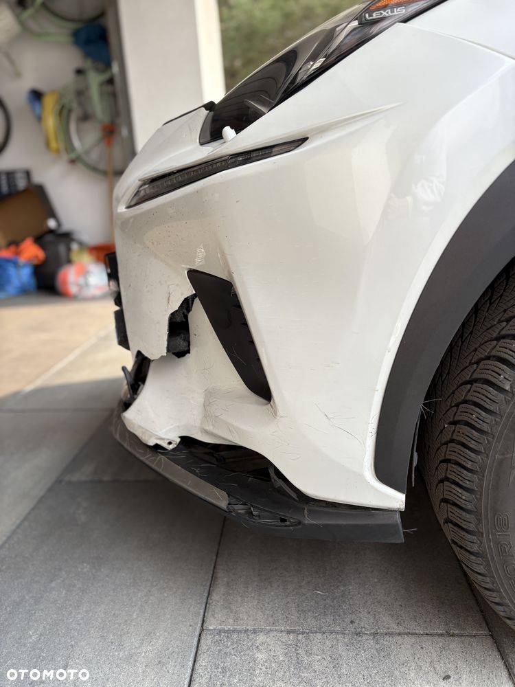 Lexus NX - 11
