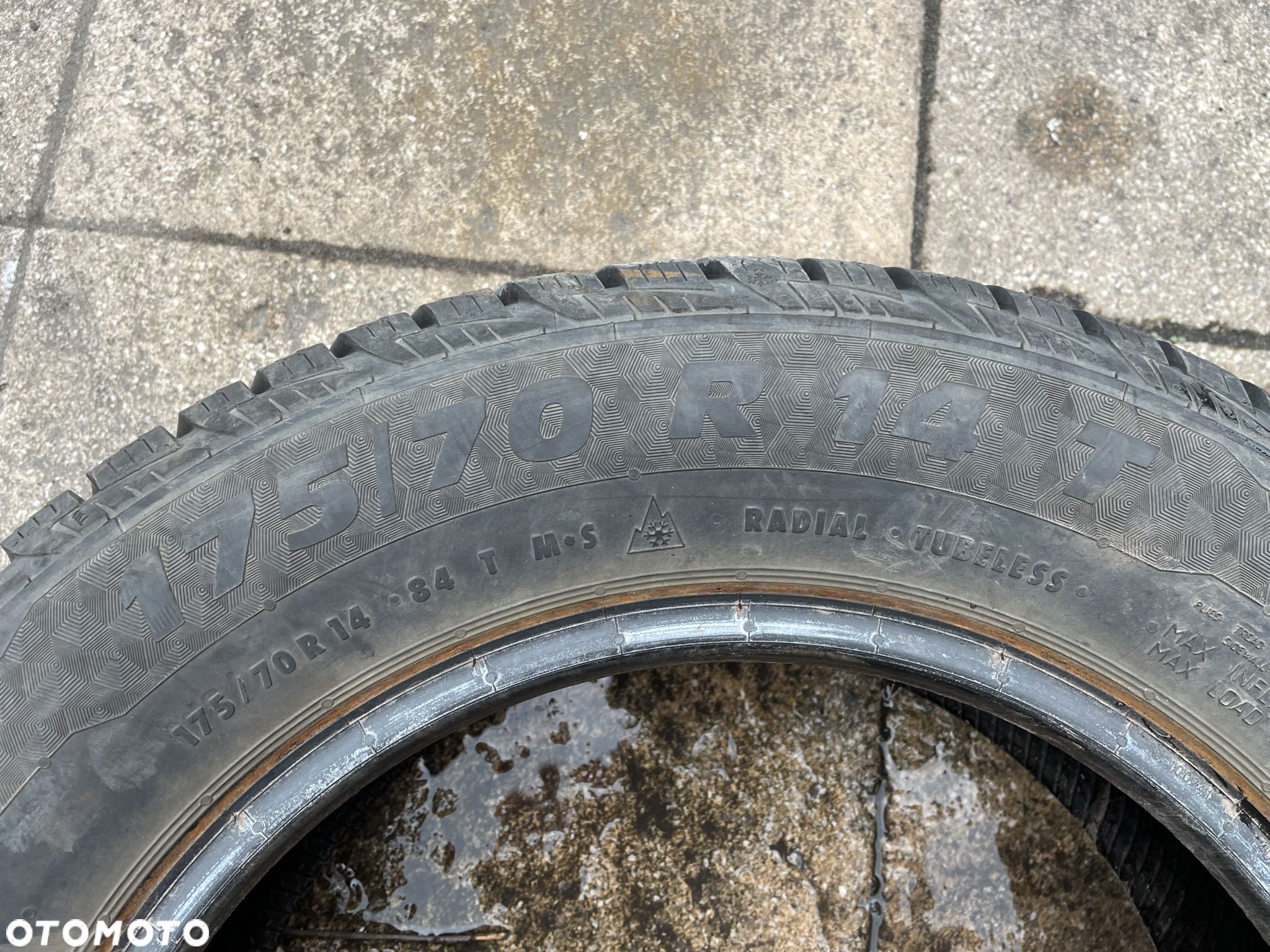 OPONA ZIMOWA SPORTIVA SNOW WIN 2 175/70 R14 - 1