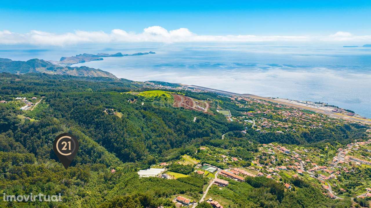 Terreno Rústico Floresta Mista com 6.600 m2 - Morena, Santa Cruz, Made - Grande imagem: 2/13
