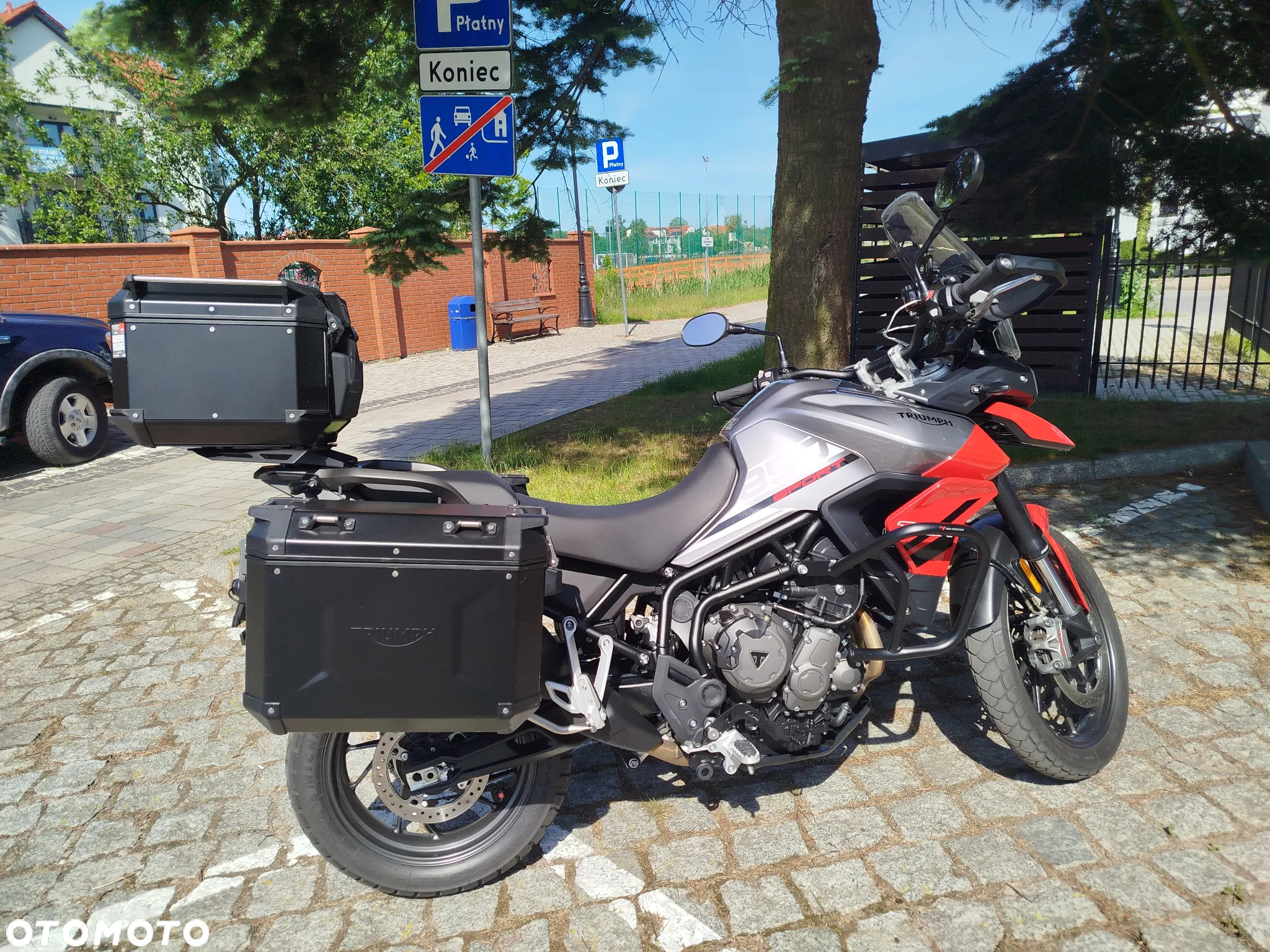 Triumph Tiger - 17
