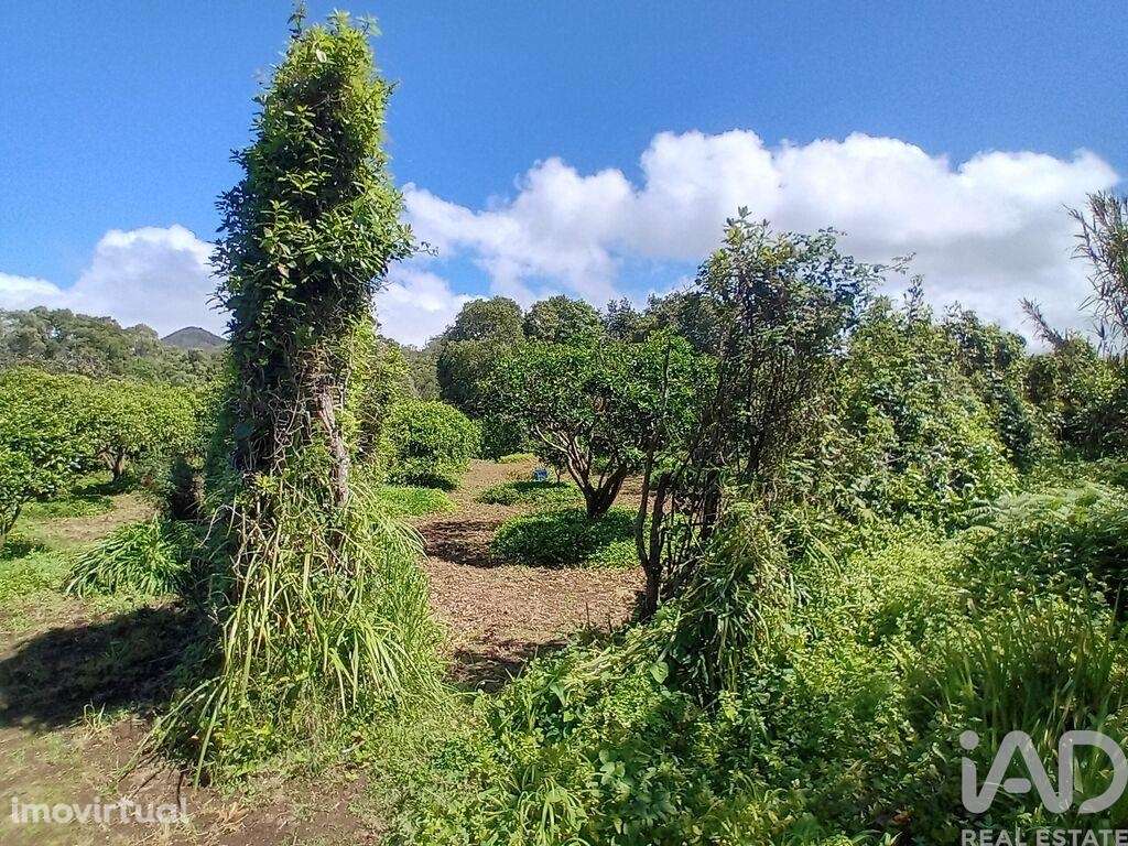 Terreno Agrícola em Lagoa (Nossa Senhora do Rosário) - Grande imagem: 5/17