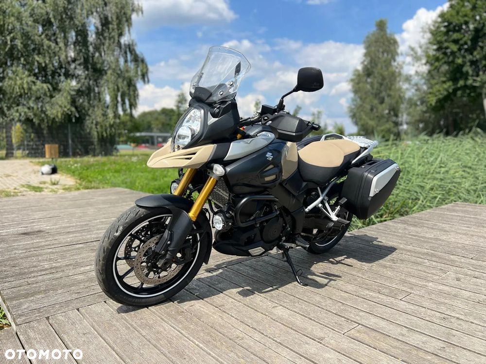 Suzuki DL