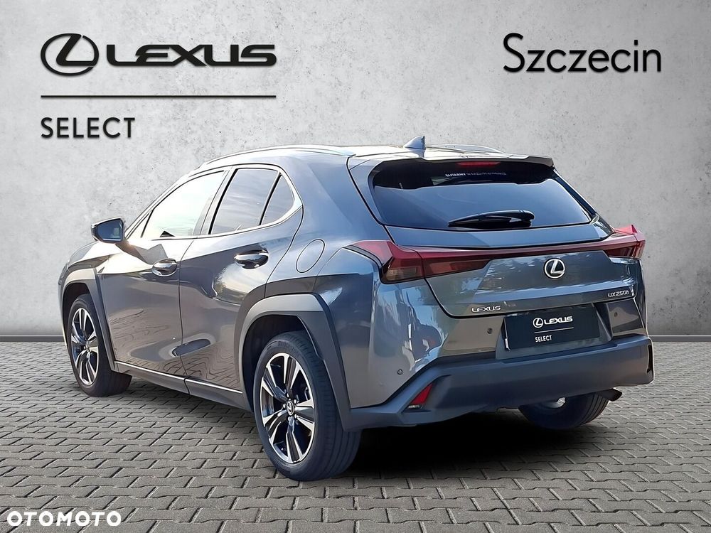Lexus UX 250h GPF Business 2WD - 3