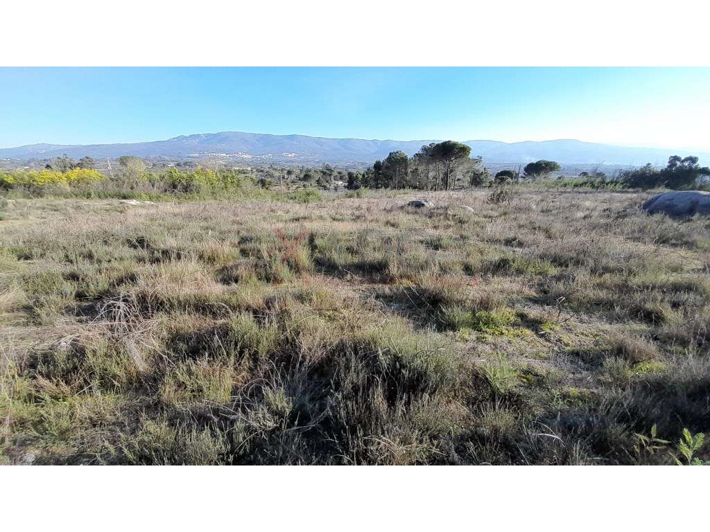 Terreno - Grande imagem: 3/8