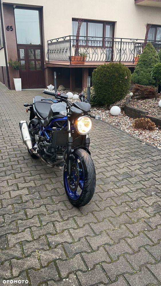 Suzuki SV - 2