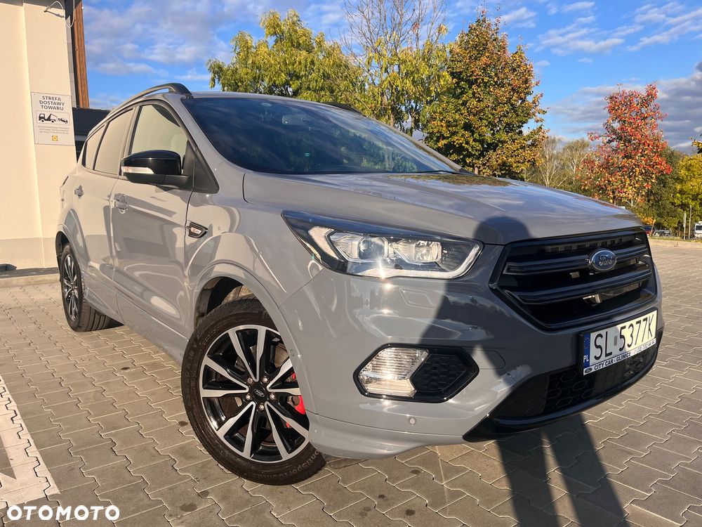Ford Kuga 2019 photo 3