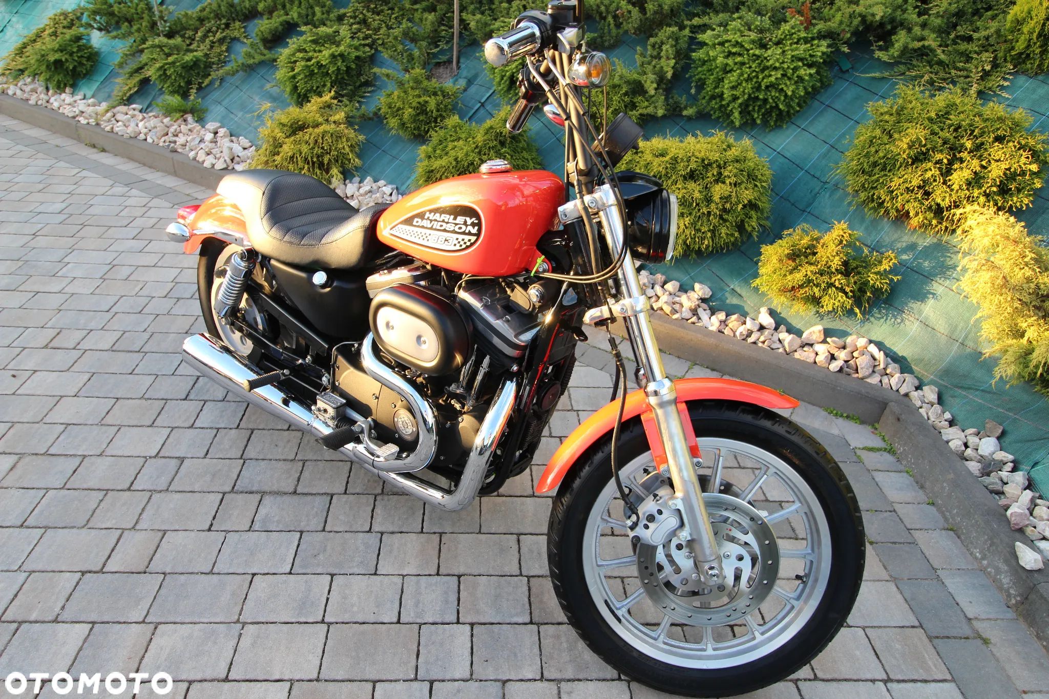 Harley-Davidson Sportster - 1