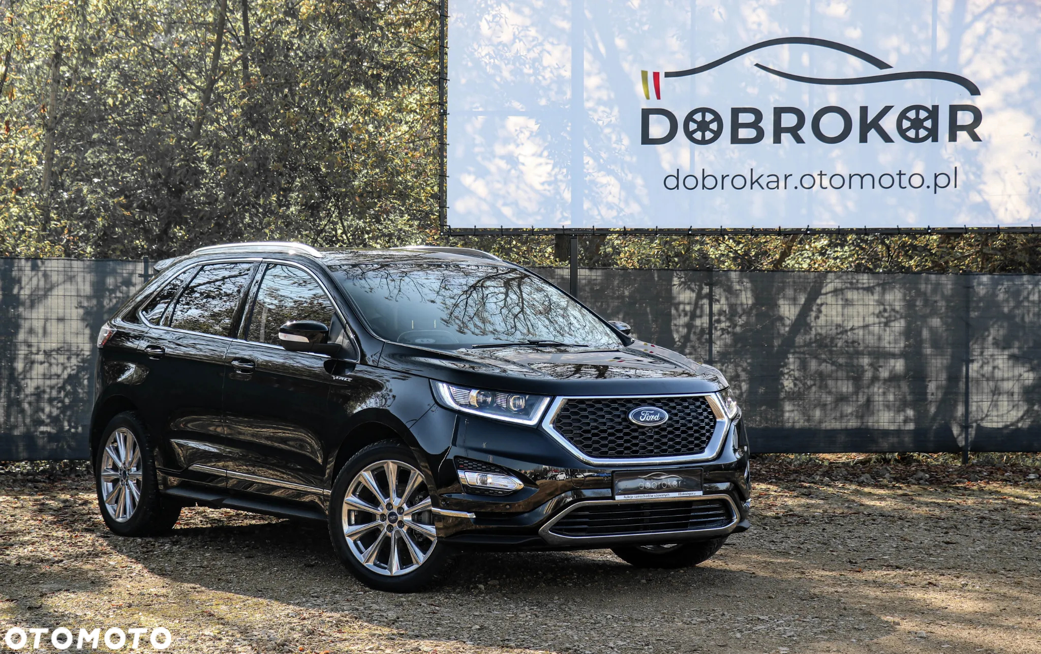 Ford Edge 2.0 TDCi Bi-Turbo 4x4 Vignale - 2