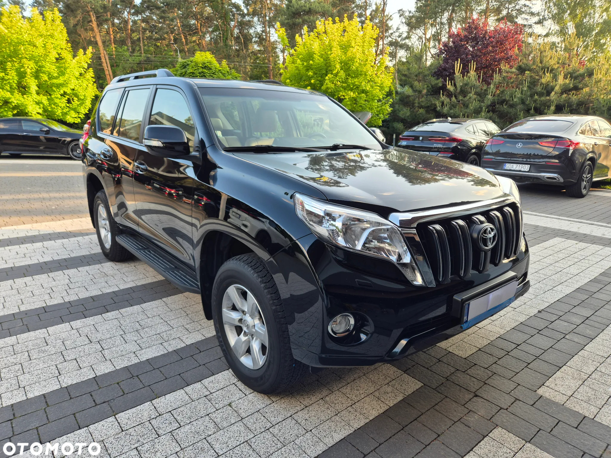 Toyota Land Cruiser - 22
