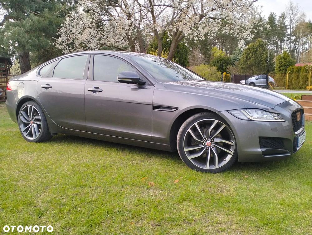 Jaguar XF 20d Portfolio - 2