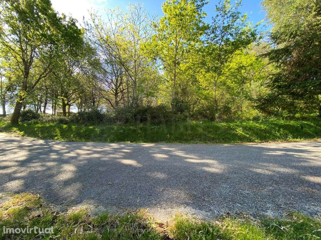 Terreno com Carvalhos - Grande imagem: 4/8